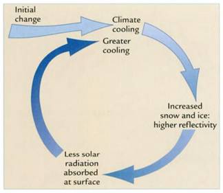 Ice Albedo-Temperature Feedback diagram